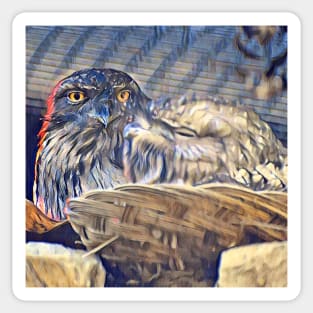 Tawny Frogmouth Sticker